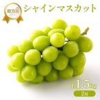 ぶどう 2027年 先行受付 シャインマスカット 約1.6kg
