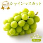 ぶどう 2027年 先行受付 シャインマスカット 約1.6kg