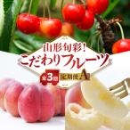 fu.... налог большой . блок [ отправка месяц фиксация ] Yamagata ..! предубеждение фрукты установленный срок рейс все 3 раз A 063-T01