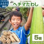 サンゴの海を守る エコ ヘチマたわし サイズミックス