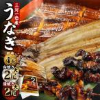 三河一色産 うなぎ蒲焼き 大2尾
