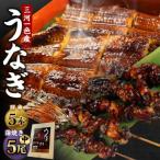 三河一色産 うなぎ蒲焼き 中5尾