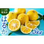 AA090.福岡柑橘王国 はるか 約5kg