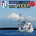 焼津市への寄付（返礼品なし）