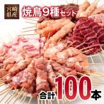 産焼鳥9種100本セット 鶏もも串 豚バラ串