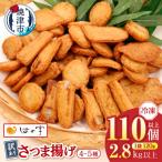 a22-061 冷凍 小分け訳ありさつま揚げ120g×24袋