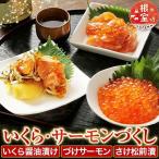 いくら サーモンづくし B-42016