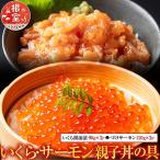 いくら サーモン親子丼の具 C-42012