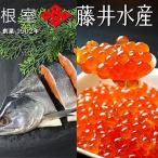 紅鮭半身姿切り600g×1P いくら醤油漬け50g×1P