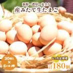 たまご 計180個