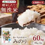 あいちのかおり 無洗米みのり 10kg