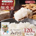 あいちのかおり 無洗米みのり 10kg