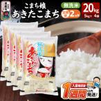 定期便2ヶ月 こまち娘 あきたこまち 無洗米 20kg