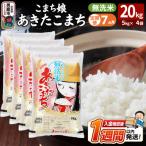 定期便7ヶ月 こまち娘 あきたこまち 無洗米 20kg
