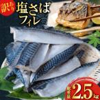 訳あり 減塩 塩 サバ フィレ Sサイズ 総重量 2.5kg
