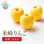 りんご はるか 約2.5kg