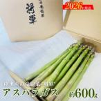 fu.... налог Fukushima город суша внутри производство. дракон ..( спаржа )~. армия ~ примерно 600g[2026 год адресат line прием ]No.3249