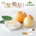あたご梨 鴨梨 ヤーリー 詰合せ 合計約4.5kg