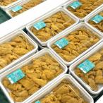 ふるさと納税 むつ市 津軽海峡産　生うに　パック　100g×2　キタムラサキウニ　大畑漁協　