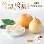 あたご梨 鴨梨 ヤーリー 詰合せ 合計約3kg