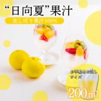 手搾り日向夏果汁200ml×1p TF873