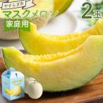 マスクメロン 2玉入