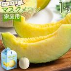 マスクメロン 1玉
