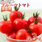 フルーツトマト 3kg
