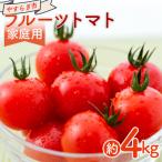 フルーツトマト 4kg