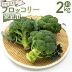 ブロッコリー 2kg