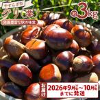栄養豊富な秋の味覚 クリ 栗 3袋