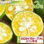 さわやかな香り漂うシークワーサー 2kg