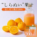 濃厚な甘さ 手搾り不知火 しらぬい 果汁200ml×1p