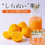 濃厚な甘さ 手搾り不知火 しらぬい 果汁200ml×5p
