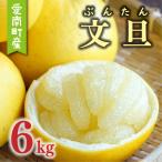 先行受付 文旦 6kg