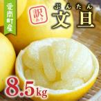 先行受付 訳あり 文旦 8.5kg