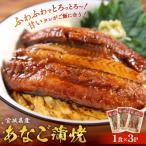 あなご 蒲焼 1食