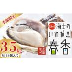牡蠣 Mサイズ14個 春香