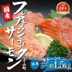 アトランティックサーモン アラ×6P 約1.5kg