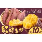 さつまいも 紅はるか 約10kg