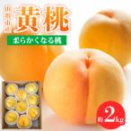 ふるさと納税 山形市 山形市産 黄桃 秀品 2kg(4〜8玉) 柔らかくなる桃 【令和8年産先行予約】FS24-758