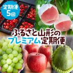 ふるさと納税 山形市 【定期便5回】ふるさと山形のプレミアム定期便 part2 【令和8年産先行予約】FS25-646