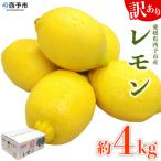 < 訳ありレモン 約4kg>