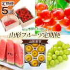 ショッピングふるさと納税 先行予約 ふるさと納税 山形市 【定期便5回】山形果実 【令和8年産先行予約】FS25-680