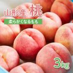 ふるさと納税 山形市 山形産 もも 3kg(柔らかくなるもも) 【令和8年産先行予約】FU22-004