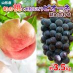 ショッピングふるさと納税 先行予約 ふるさと納税 山形市 旬の桃と大粒ぶどうピオーネ 詰め合わせ 約3.5kg【令和8年産先行予約】FS24-764