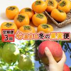 心温まる冬の果実便 FS24-793 くだもの