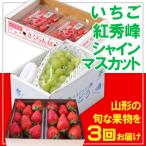 ふるさと納税 山形市 【定期便3回】☆フルーツ王国山形☆いちご・紅秀峰・シャインマスカット【令和8年産】FS25-666