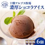 十勝アルプス牧場 濃厚ショコラアイス6個セット