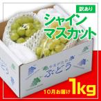 ☆フルーツ王国山形☆ シャインマスカット1kg